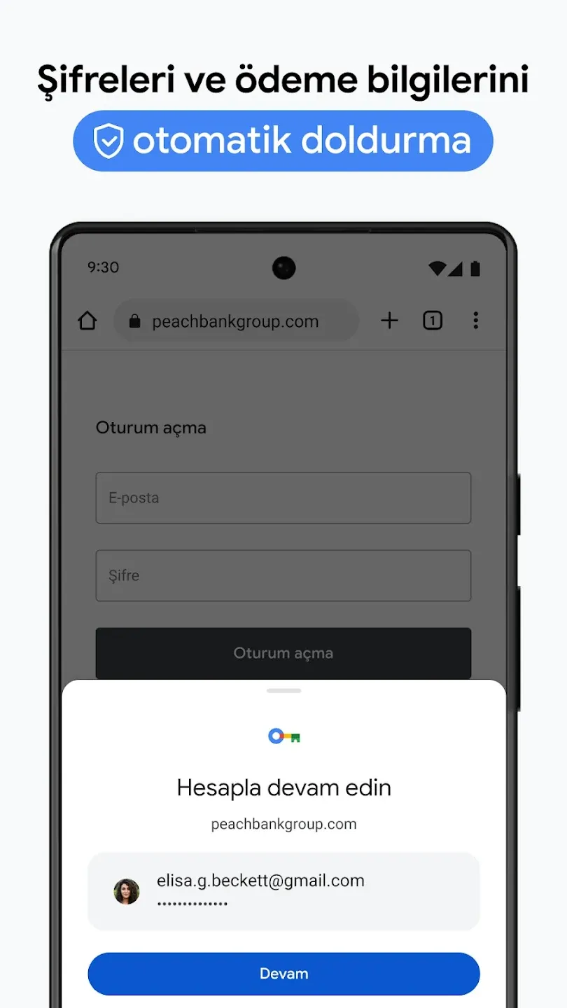 Google Chrome Screenshot